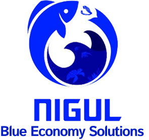 Nigul Blue Economy solution